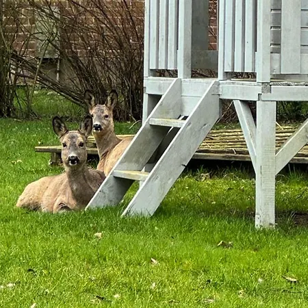 Voss Typ 2 Nr8 Staberdorf